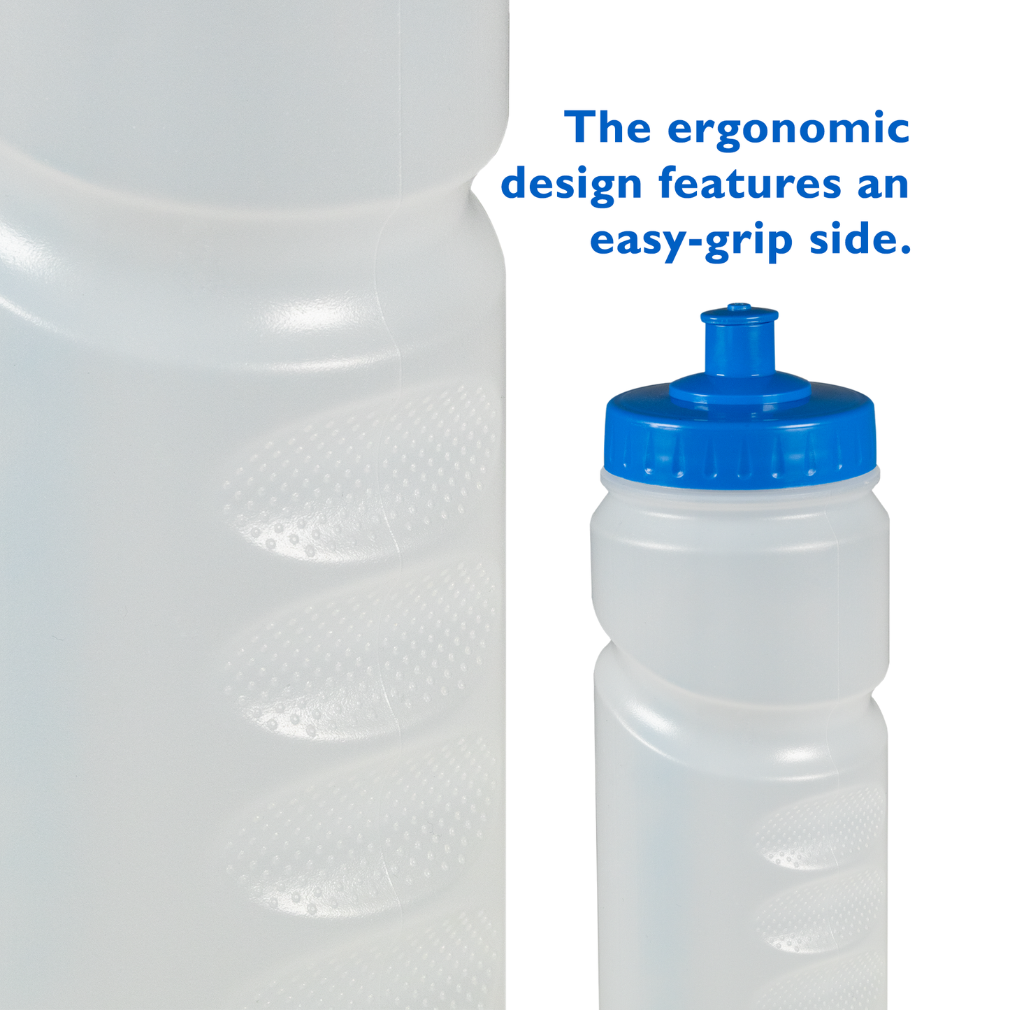 Maru Water Bottle 750ml (Blue/Clear)