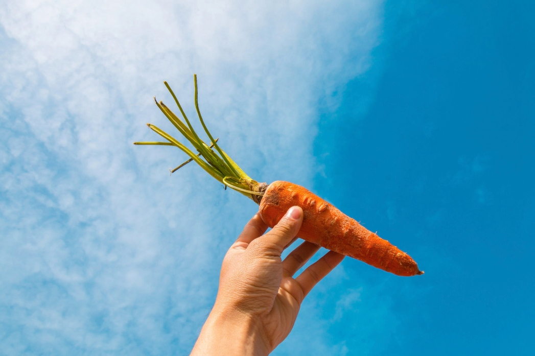 Do you prefer the carrot or stick method of coaching? Take our quiz to find out